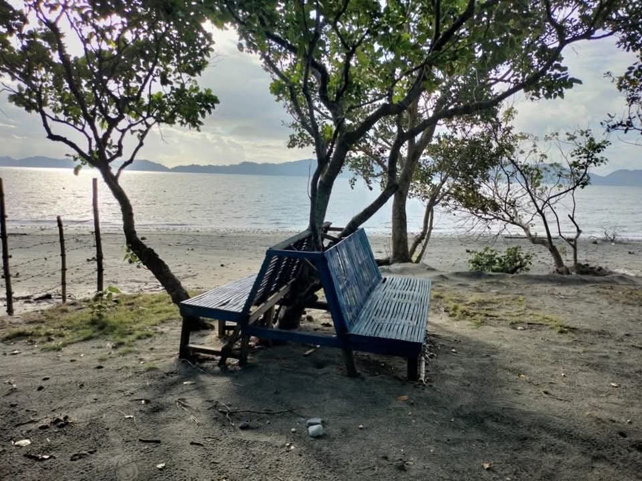 Benches under the trees at the water, with the hills across Casiguran Sound